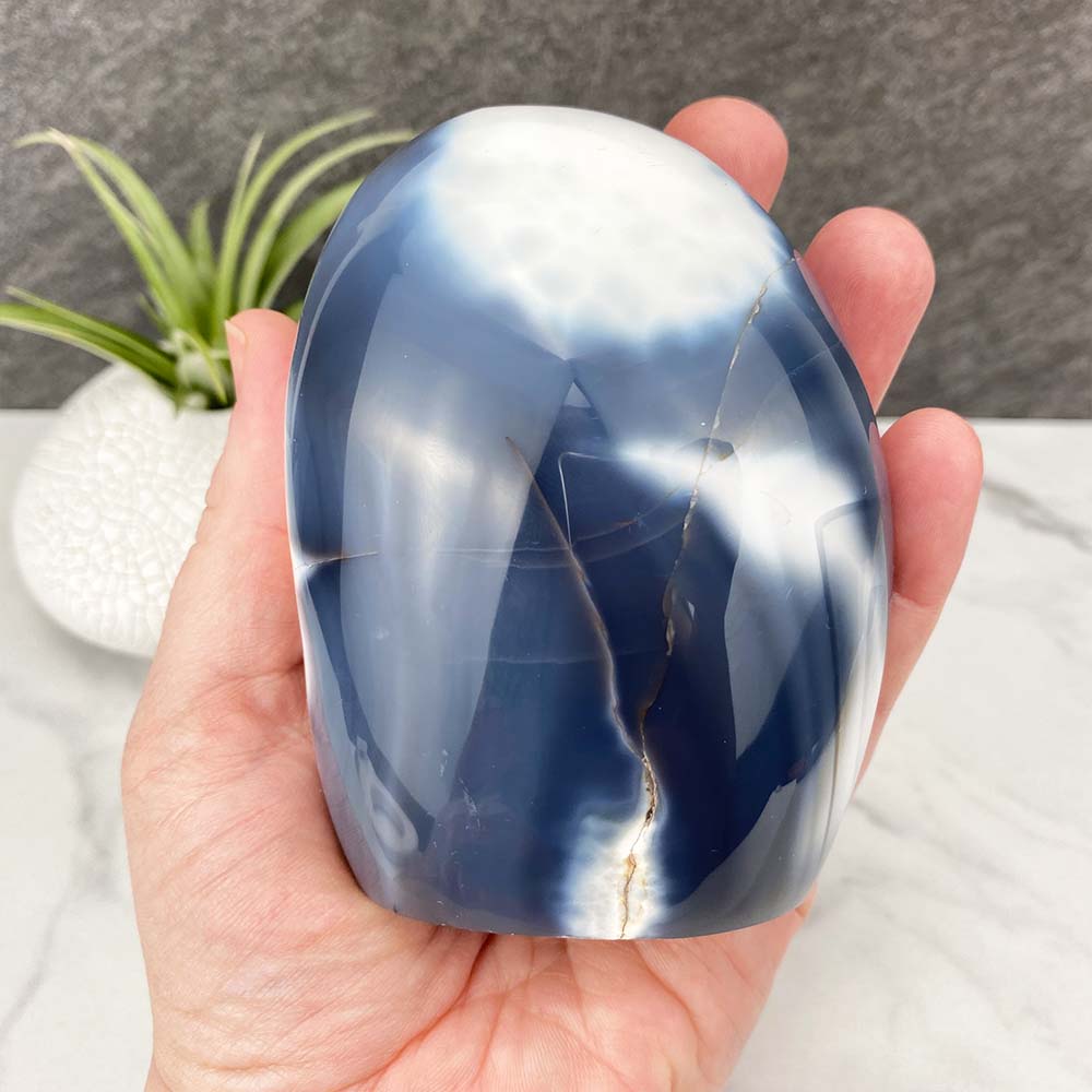 Polished Orca Agate Freeform
