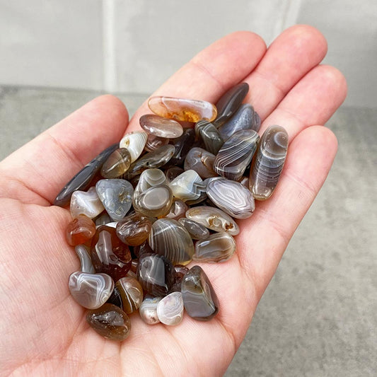 Medium Persian Agate Chips