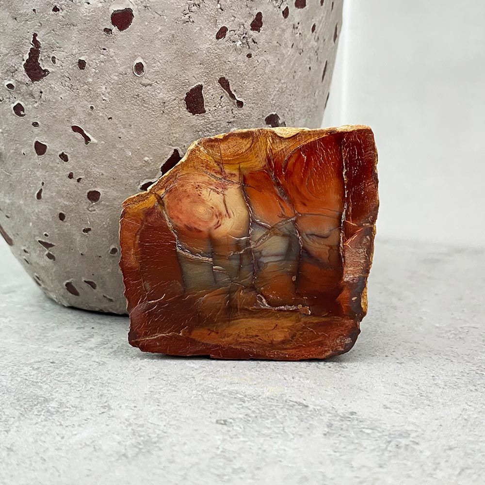 Polished Petrified Wood