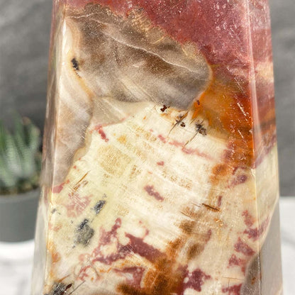 Polished Petrified Wood Tower