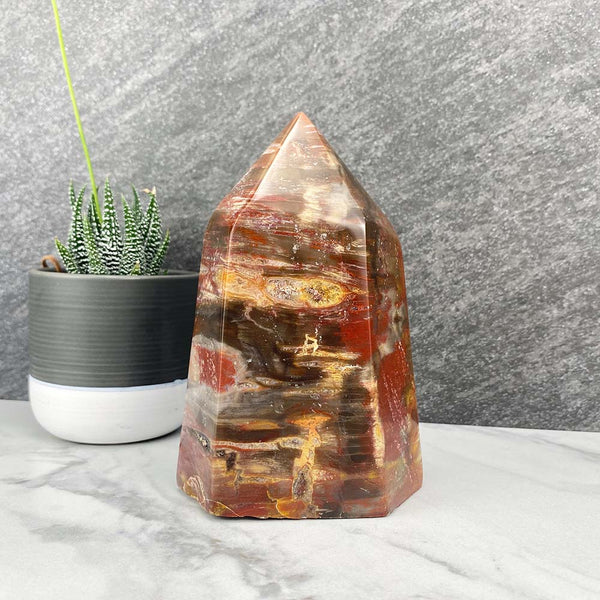 Polished Petrified Wood Tower