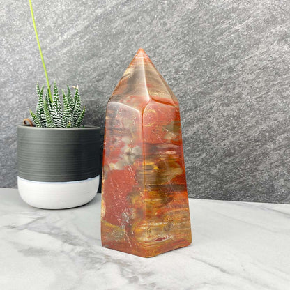 Polished Petrified Wood Tower