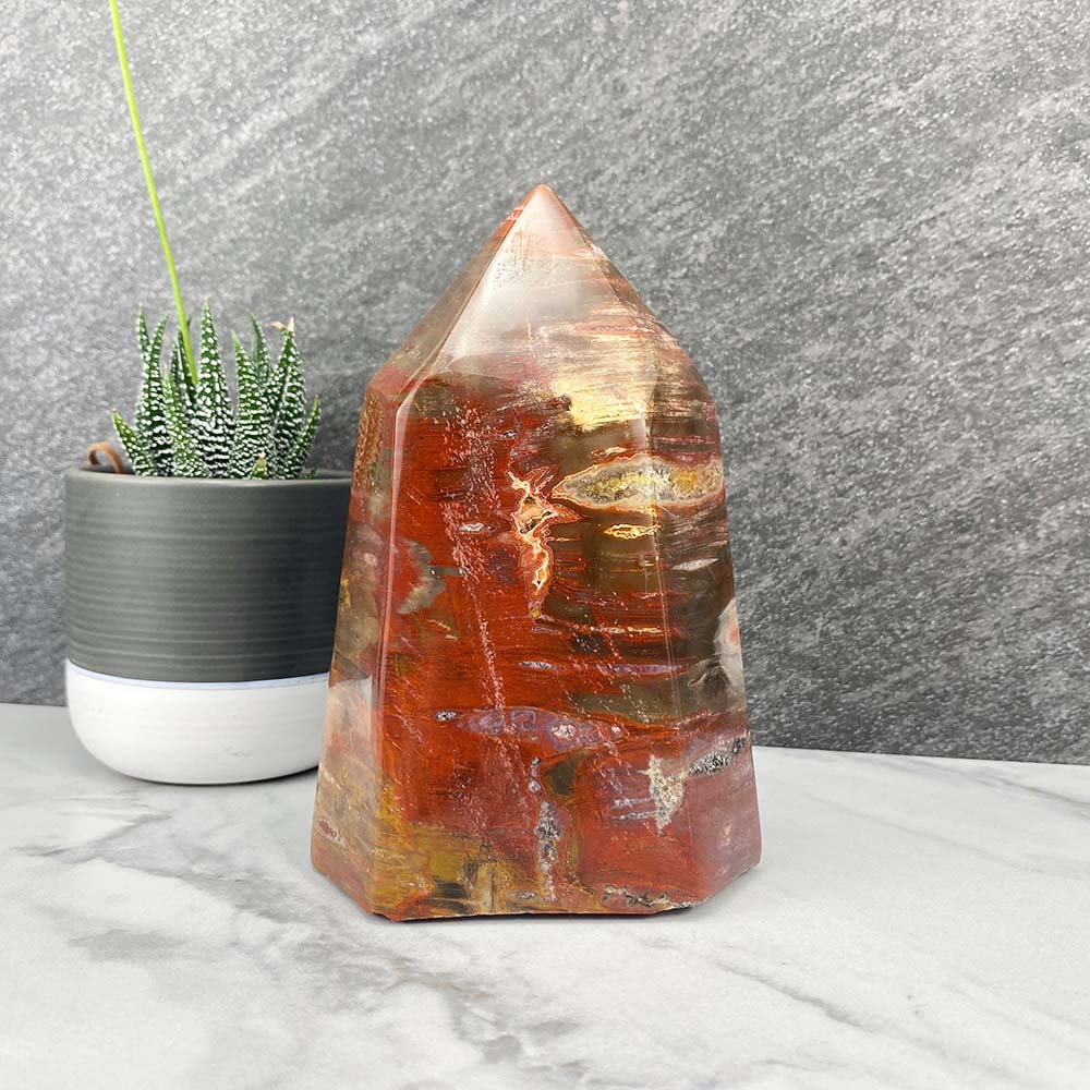 Polished Petrified Wood Tower