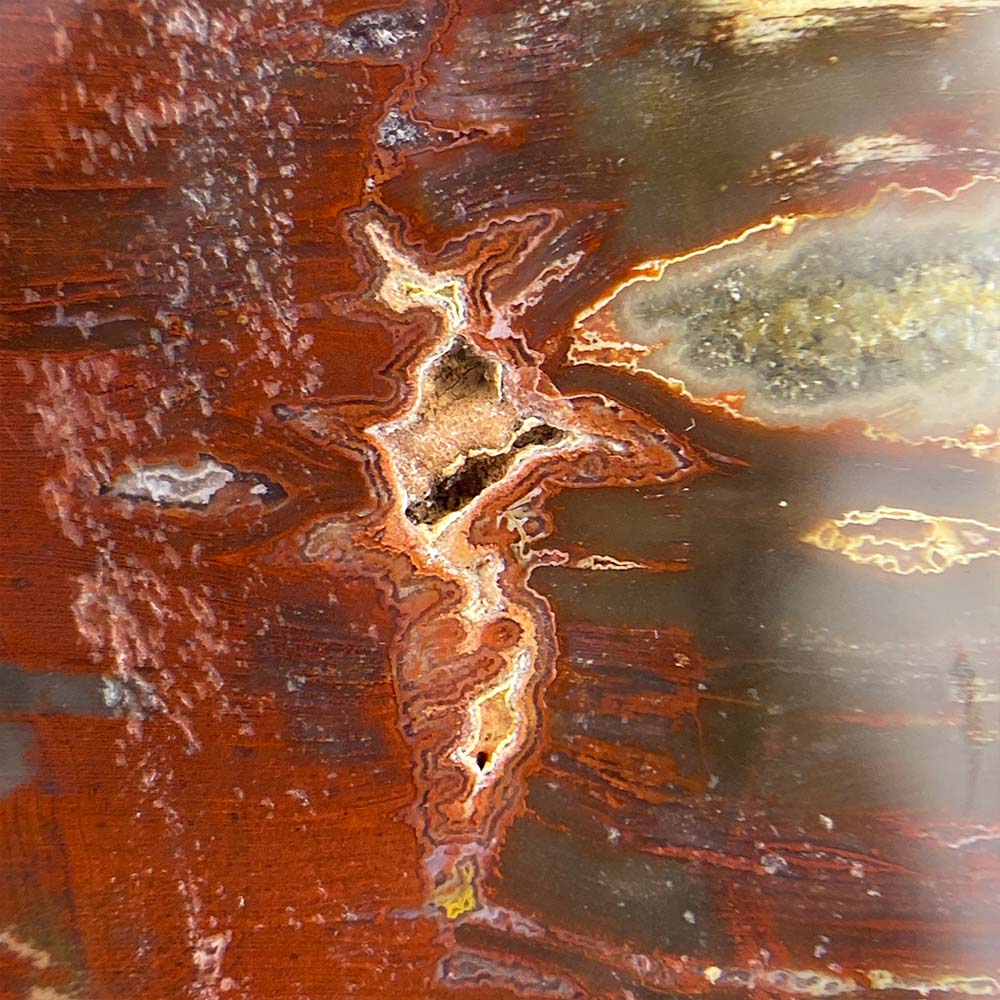 Polished Petrified Wood Tower