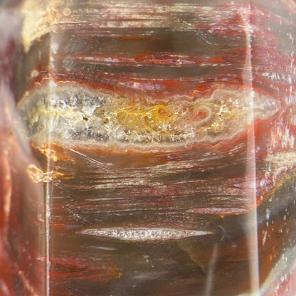 Polished Petrified Wood Tower