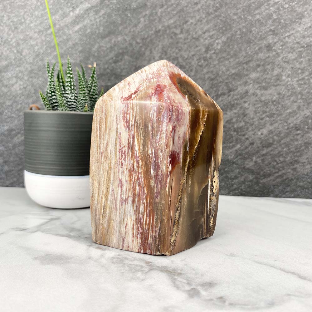 Polished Petrified Wood Tower