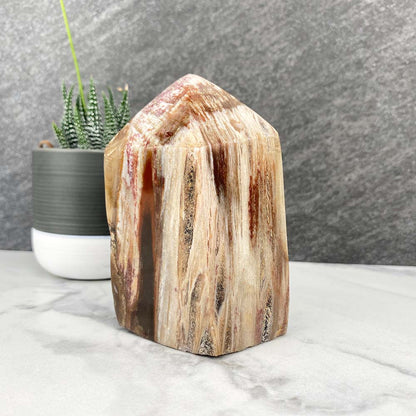 Polished Petrified Wood Tower