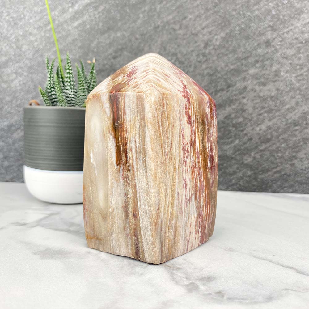 Polished Petrified Wood Tower