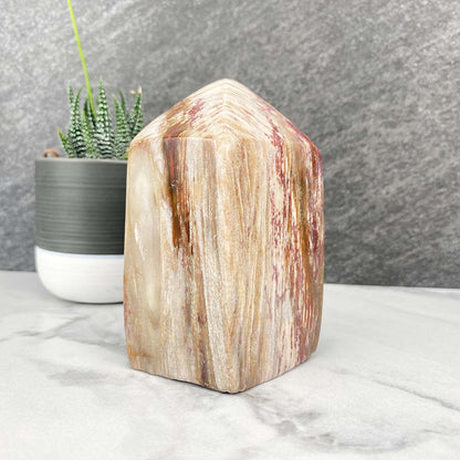 Polished Petrified Wood Tower