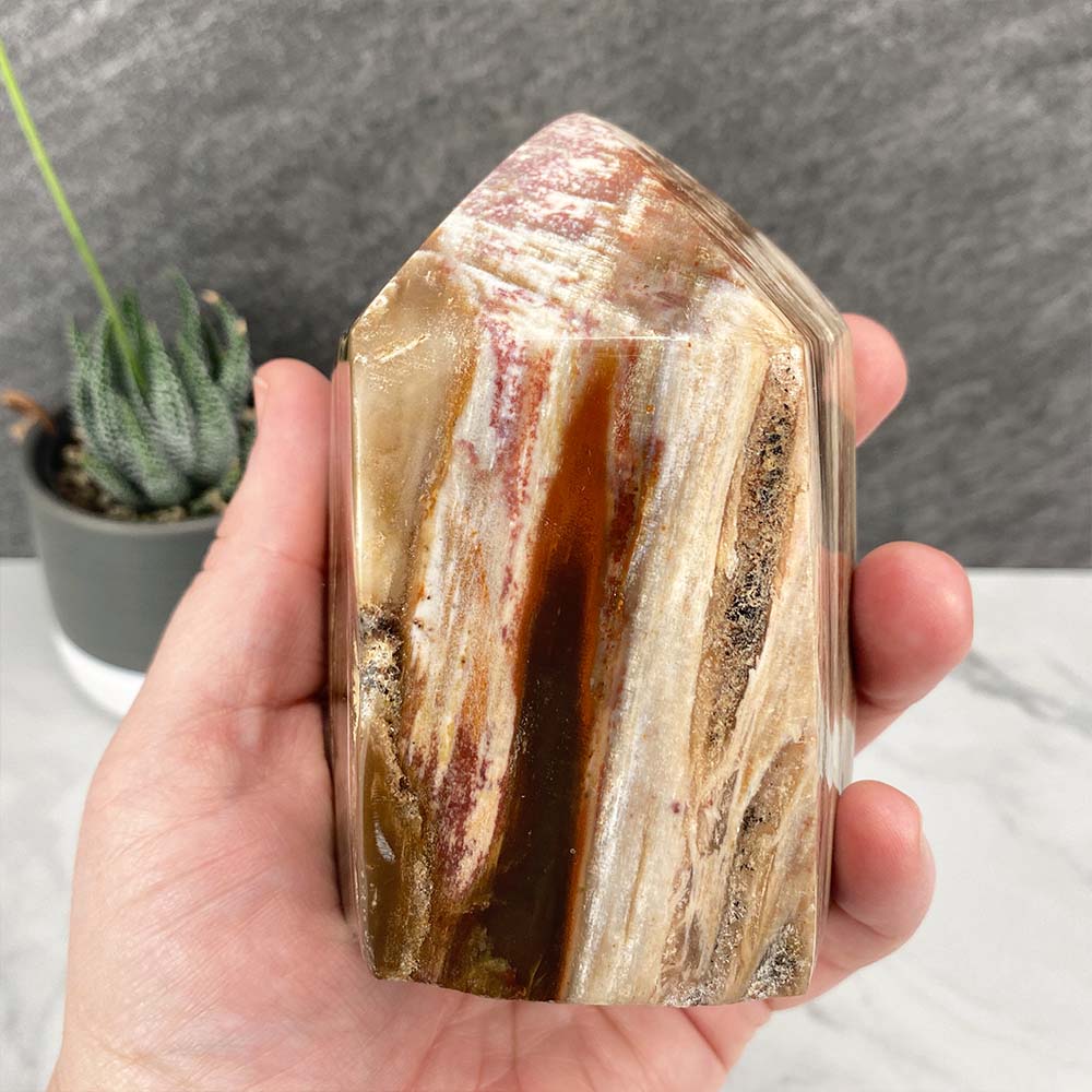 Polished Petrified Wood Tower