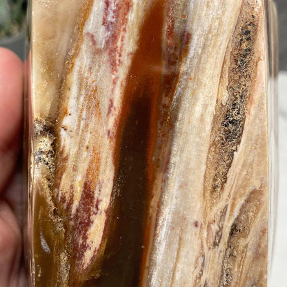 Polished Petrified Wood Tower