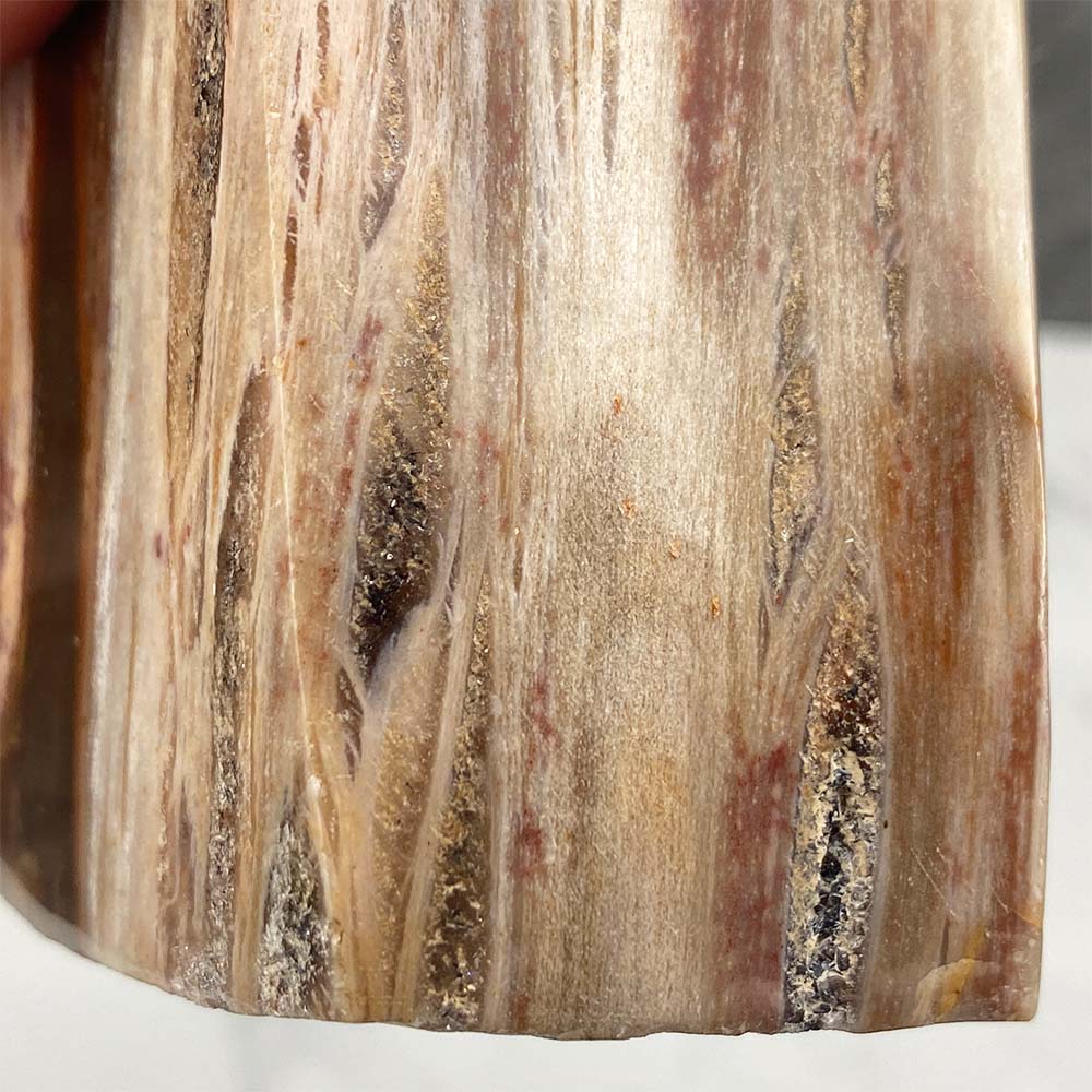 Polished Petrified Wood Tower