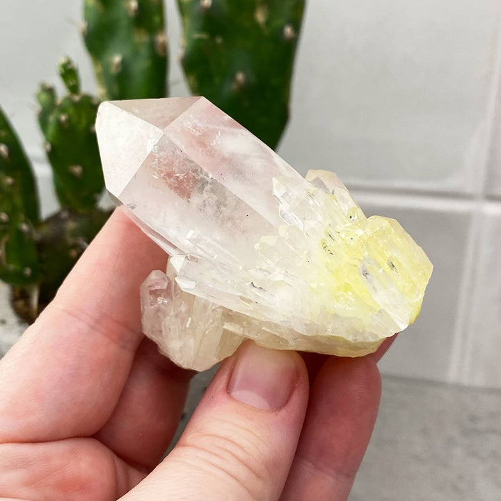 pineapple quartz crystal cluster