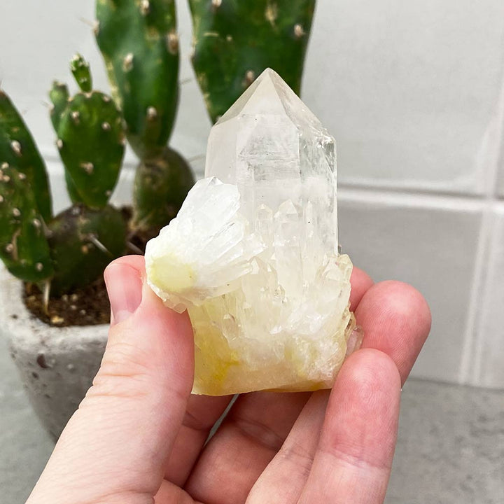 pineapple quartz crystal cluster