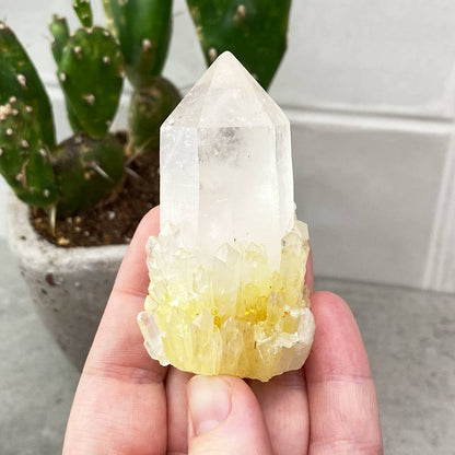 pineapple quartz crystal cluster