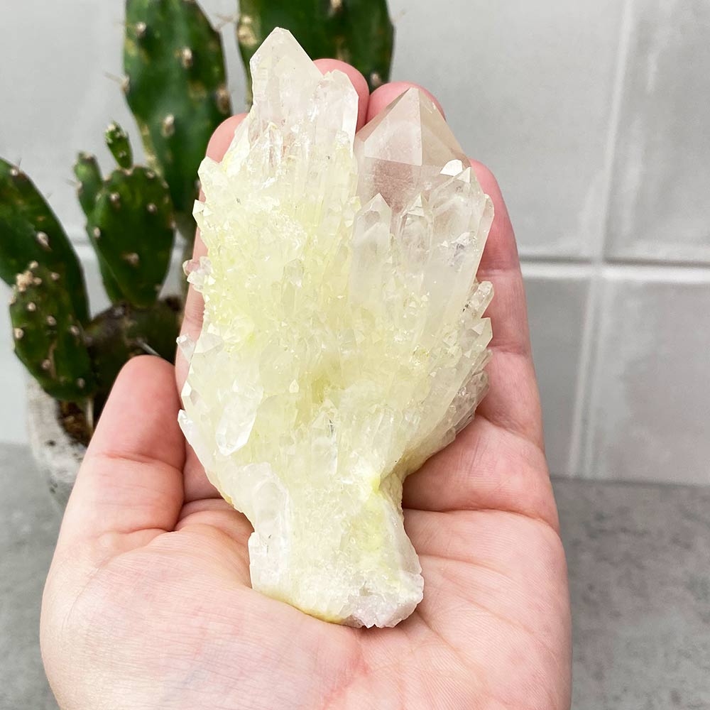 Pineapple Quartz Cluster