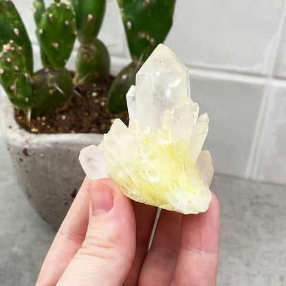 pineapple quartz cluster