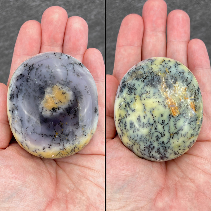 Polished Purple Dendritic Agate Palmstones