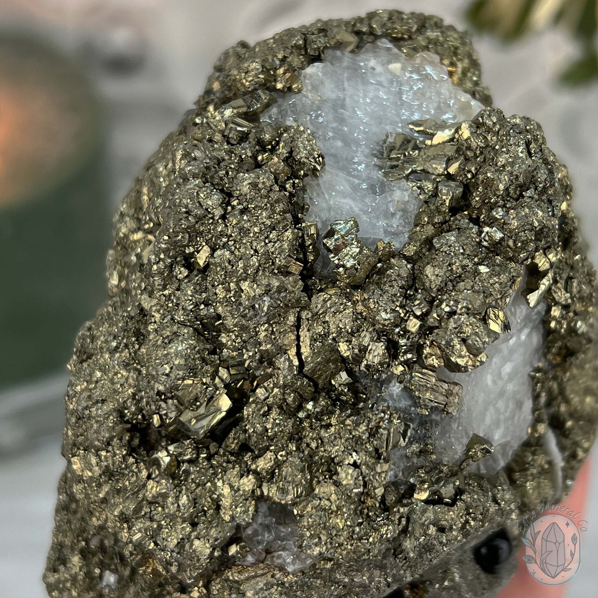 Large Pyrite Specimen with Quartz Pet Rock