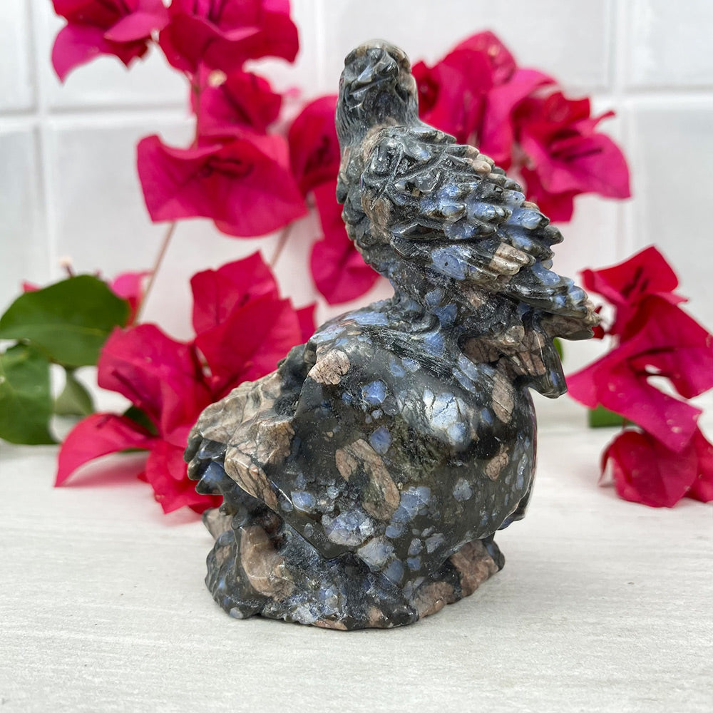 Polished Que Sera Skull and Raven Carving