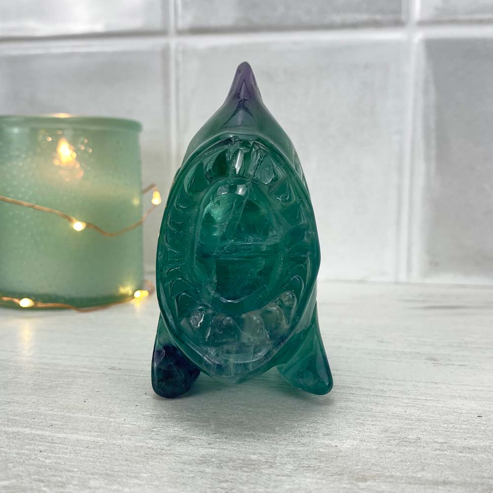 Polished Rainbow Fluorite Crystal Piranha Carving