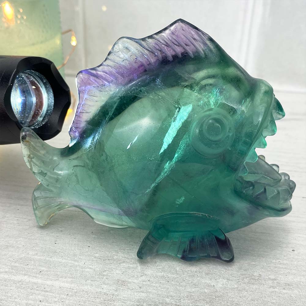 Polished Rainbow Fluorite Crystal Piranha Carving