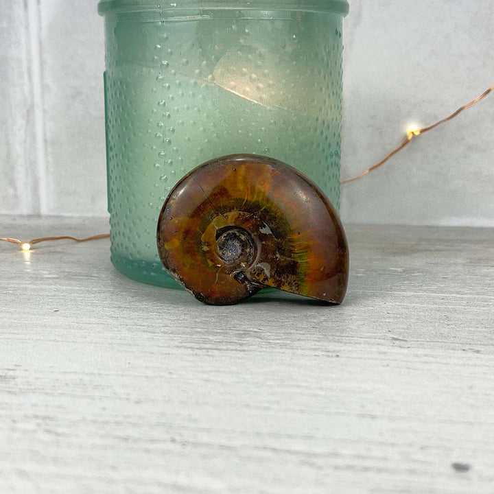 Polished Flashy Fire Iridescent Ammonite Fossil