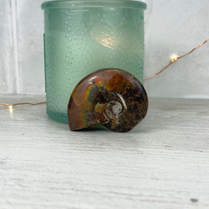 Polished Flashy Fire Iridescent Ammonite Fossil