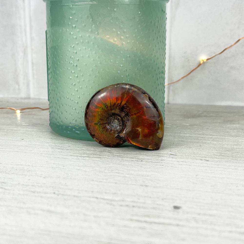 Polished Flashy Fire Iridescent Ammonite Fossil
