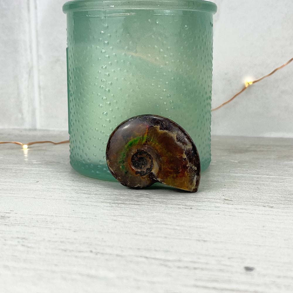 Polished Flashy Fire Iridescent Ammonite Fossil