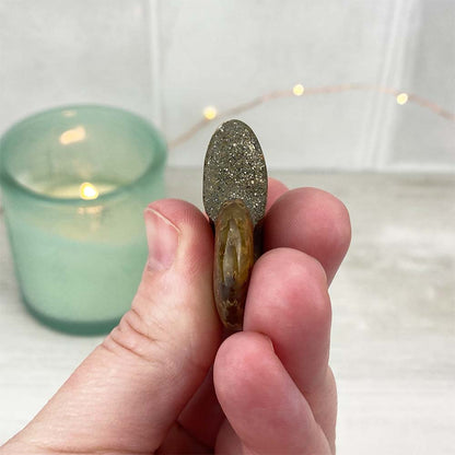 Polished Flashy Fire Iridescent Ammonite Fossil