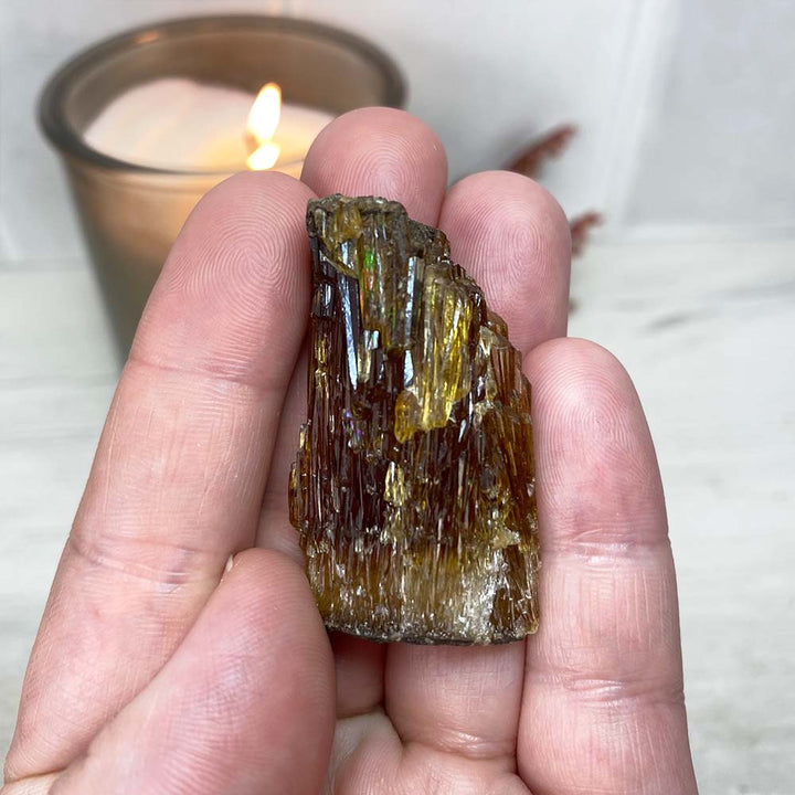 Raw Amber Calcite Crystal Specimens