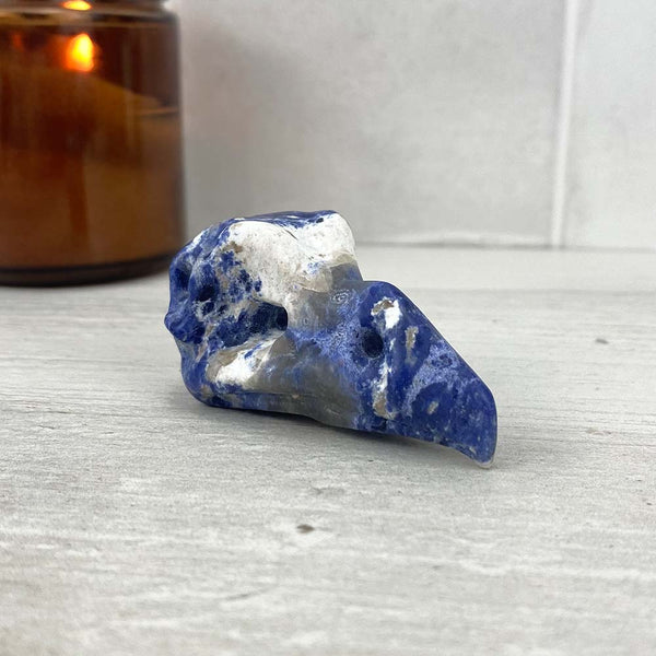 Sodalite Raven Skull Carving