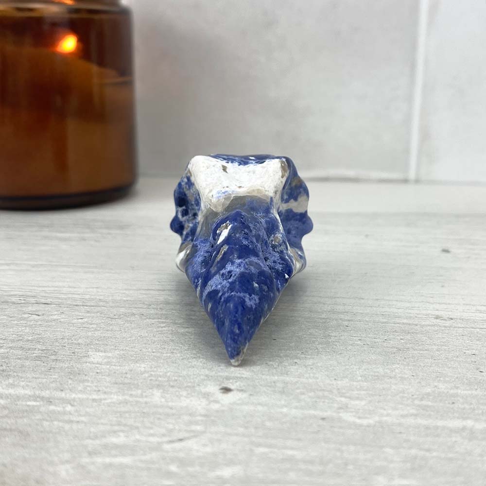 Sodalite Raven Skull Carving