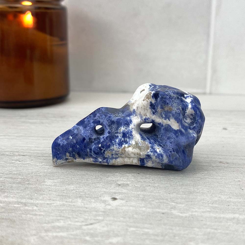 Sodalite Raven Skull Carving