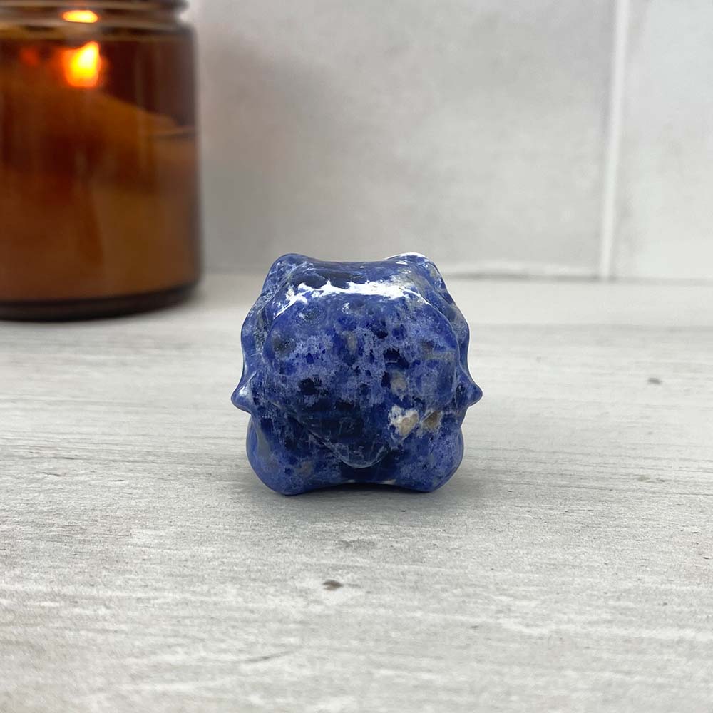 Sodalite Raven Skull Carving