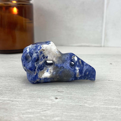 Sodalite Raven Skull Carving