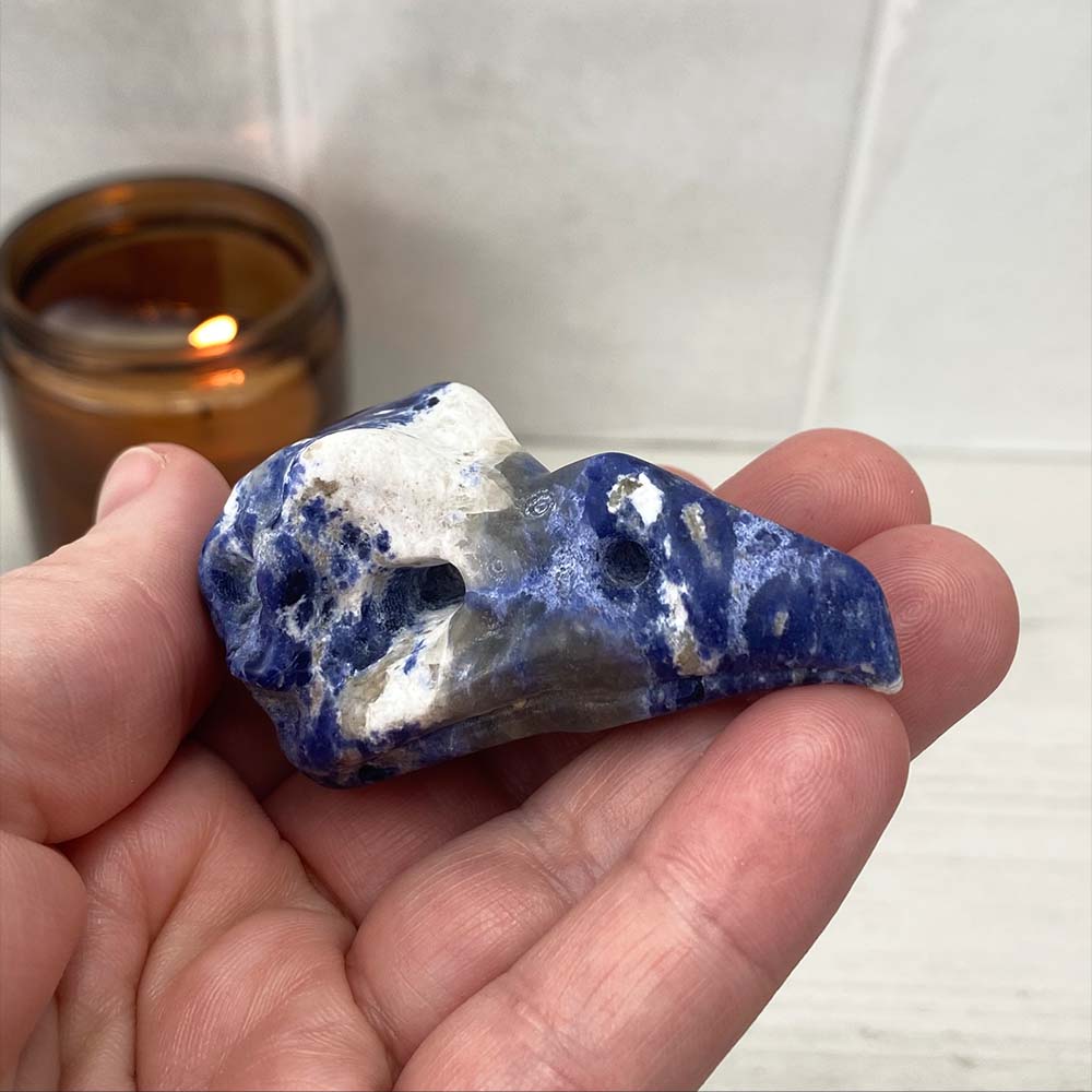 Sodalite Raven Skull Carving