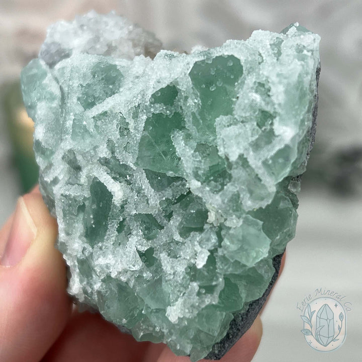 Natural Druzy Green Sugar Fluorite Specimen