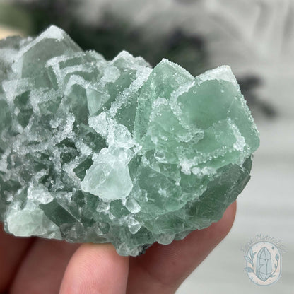 Natural Druzy Green Sugar Fluorite with Quartz Specimen