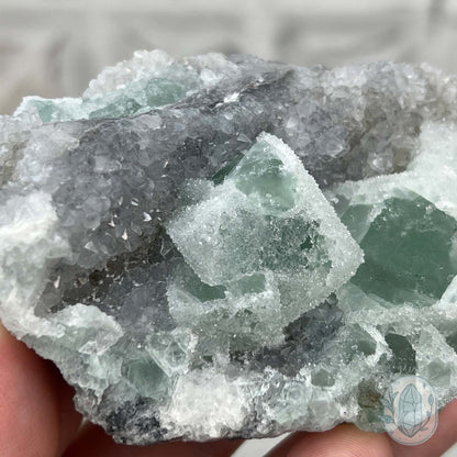 Natural Druzy Green Sugar Fluorite with Quartz Specimen