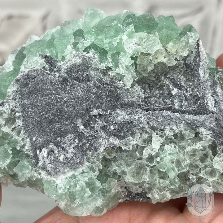 Natural Druzy Green Sugar Fluorite with Quartz Specimen