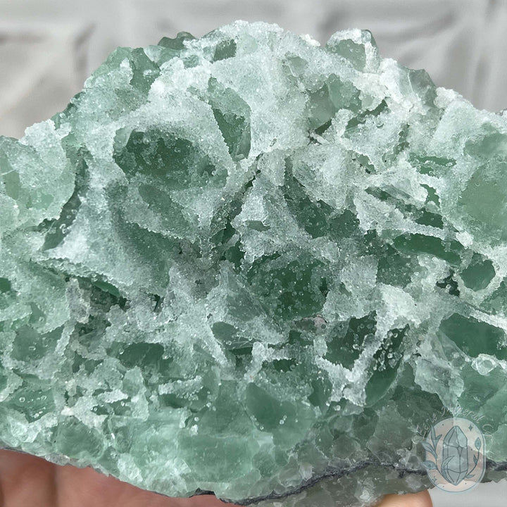 Natural Druzy Green Sugar Fluorite with Quartz Specimen