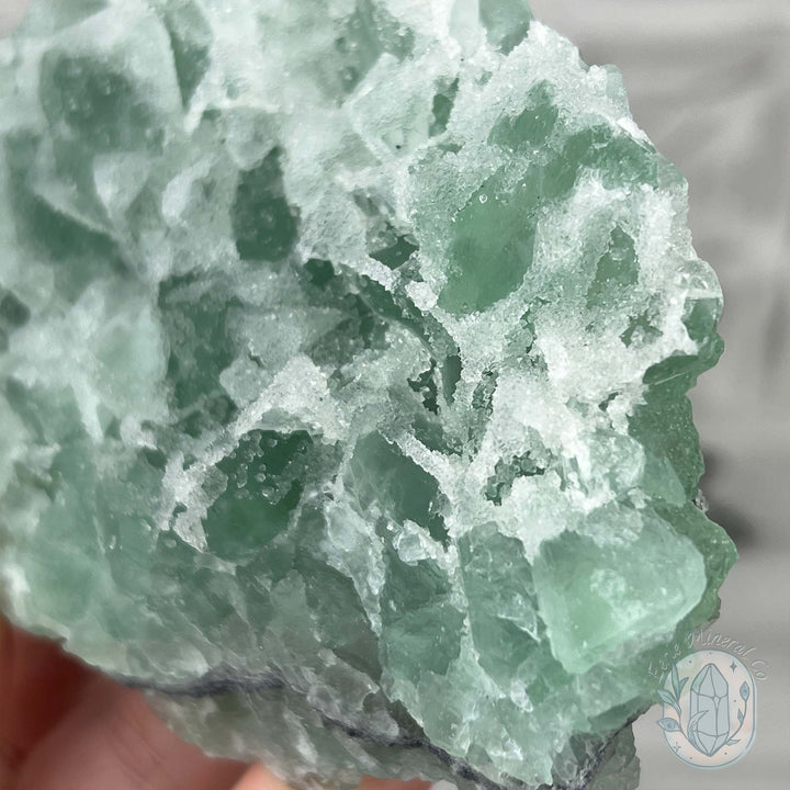 Natural Druzy Green Sugar Fluorite with Quartz Specimen