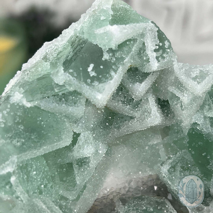 Natural Druzy Green Sugar Fluorite with Quartz Specimen