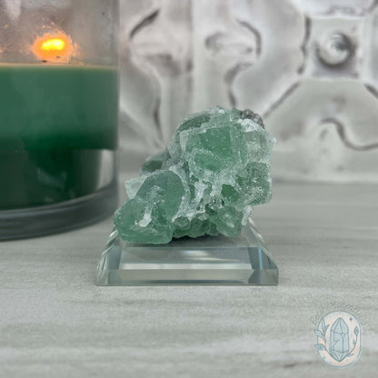 Druzy Green Sugar Fluorite Specimen with Display Stand