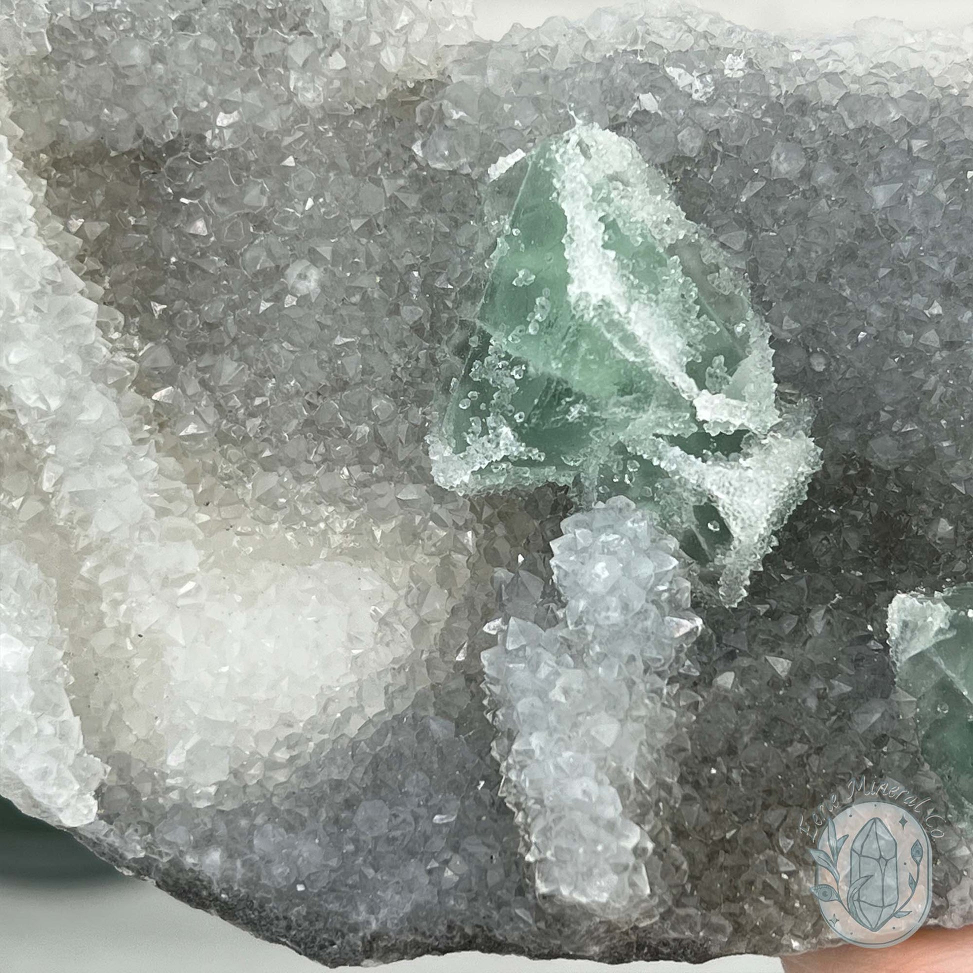 Druzy Green Sugar Fluorite Specimen with Display Stand
