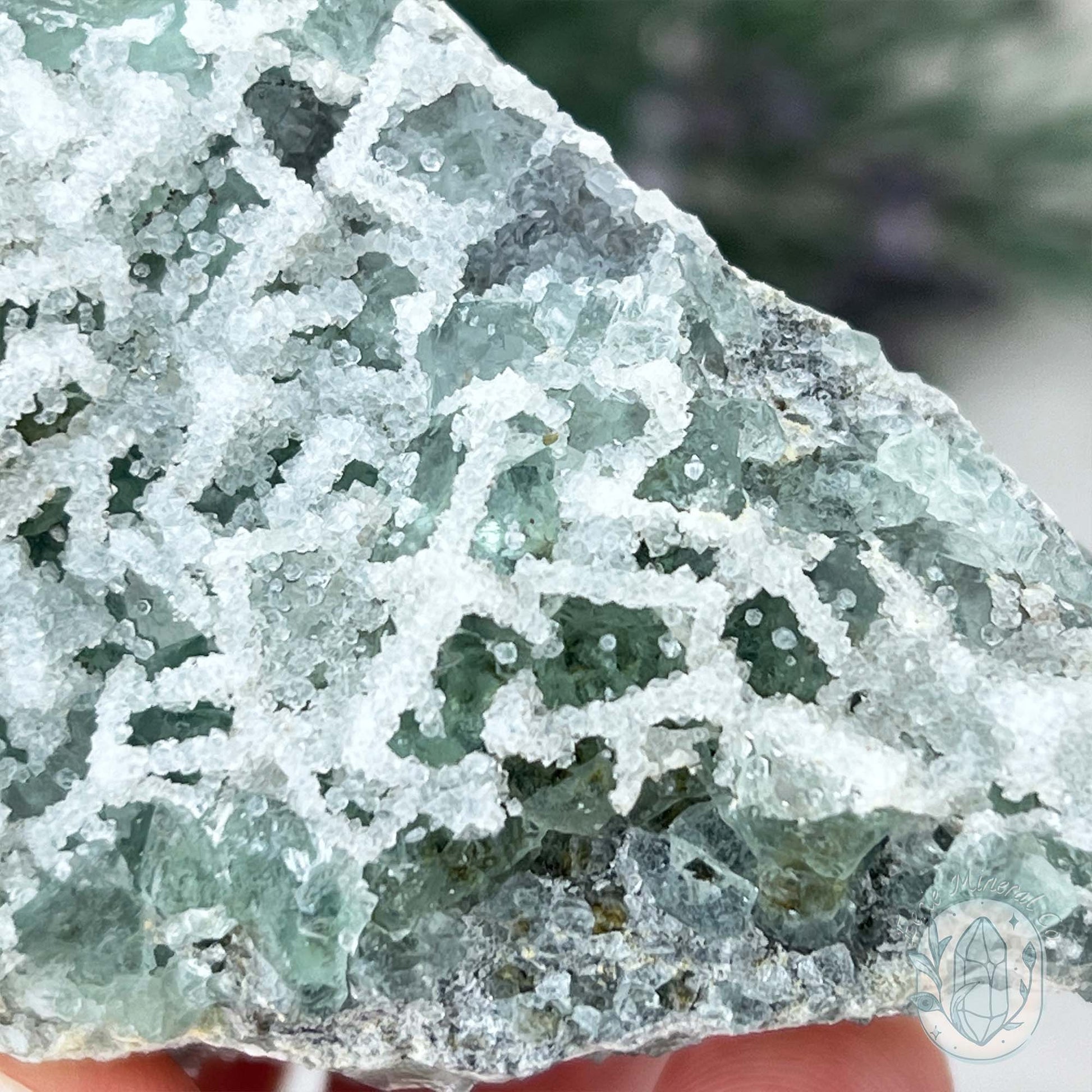 Natural Druzy Green Sugar Fluorite Specimen
