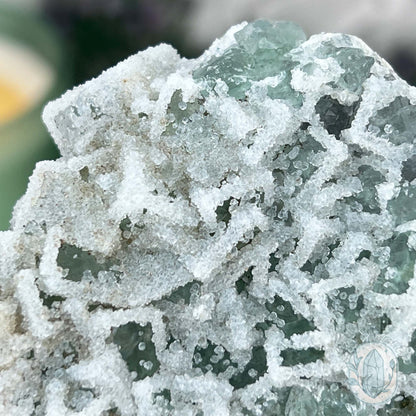 Natural Druzy Green Sugar Fluorite Specimen