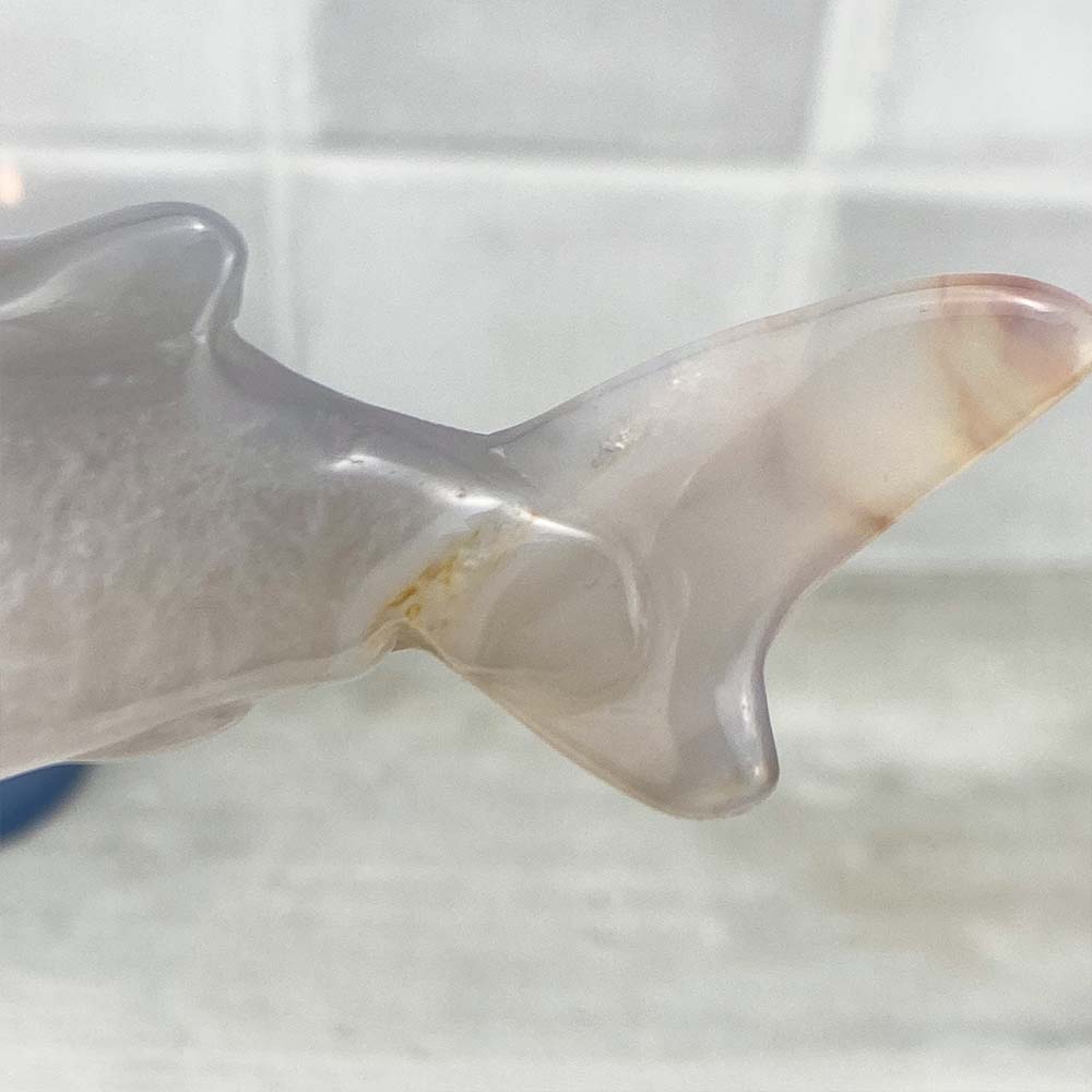 Polished Flower Agate Shark Carving